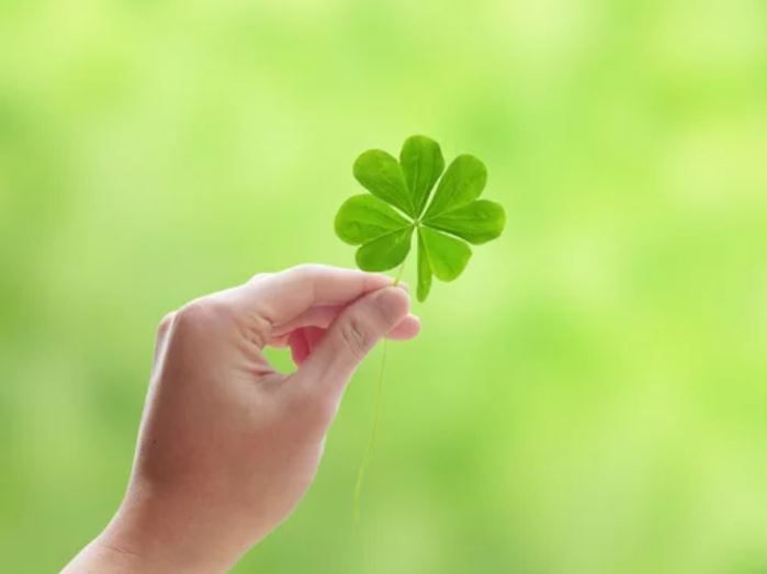 Resultados Sorteos de Lotería